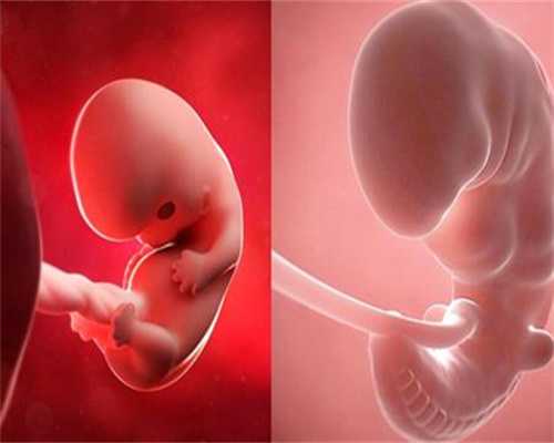 昆明代孕中介：孕妇口腔溃疡可以吃维生素B2吗孕