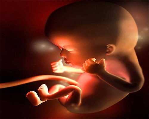 昆明代孕网_孕妇吃什么会影响胎儿