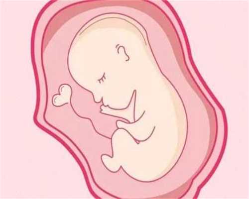 代孕二胎要多少钱_噪音也是一种污染：高分贝噪音极易导致胎儿畸形