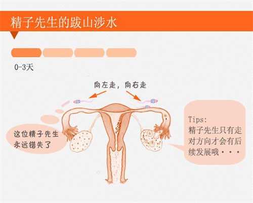 中国最好的代孕公司_高龄产妇是多少岁 高龄产妇生二胎能顺产吗